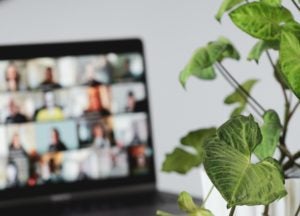 laptop screen displaying a larger video conference with a green plant in the foreground